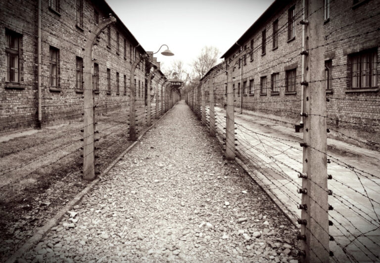 Standgerichte des Terrors: Die ungesühnten Verbrechen des Johannes Thümmler